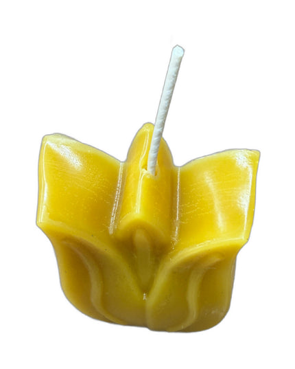 Tulip Flower - Gold