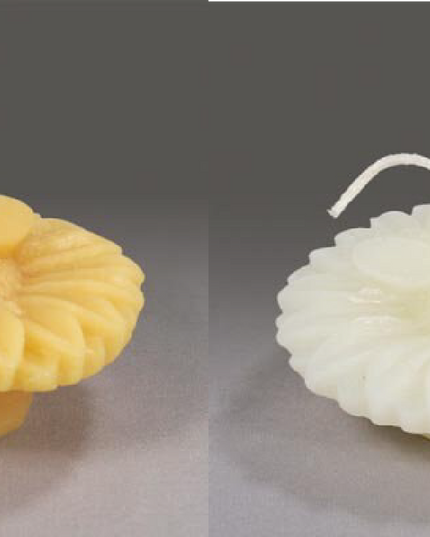 Floating Bee (Gold or White)