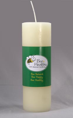 9" x 3" Round Pillar (Gold or White)