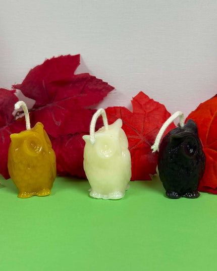 Wise Owl (Black, Gold or White)