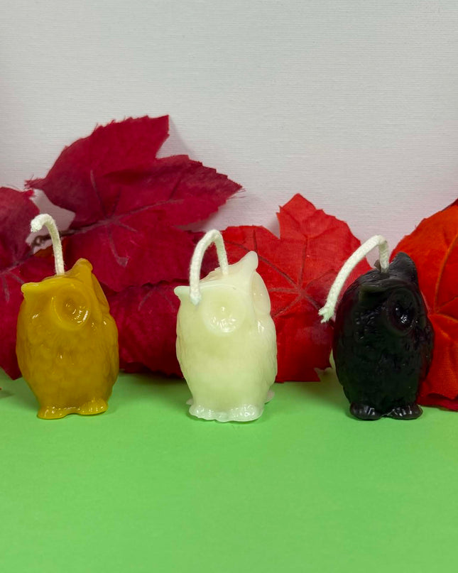 Wise Owl (Black, Gold or White)