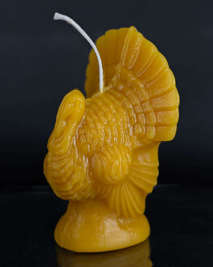 Plump Turkey (Gold or White)