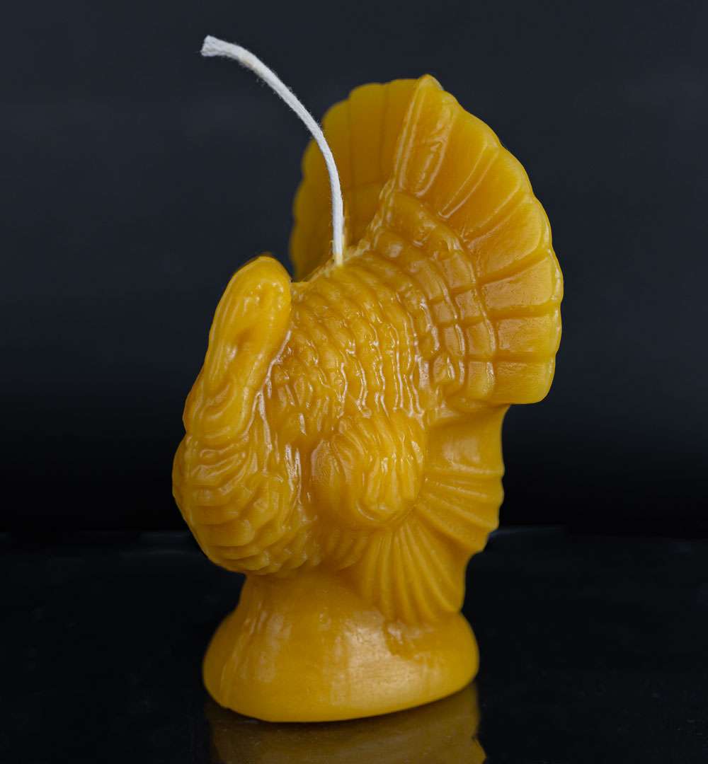 Plump Turkey (Gold or White)