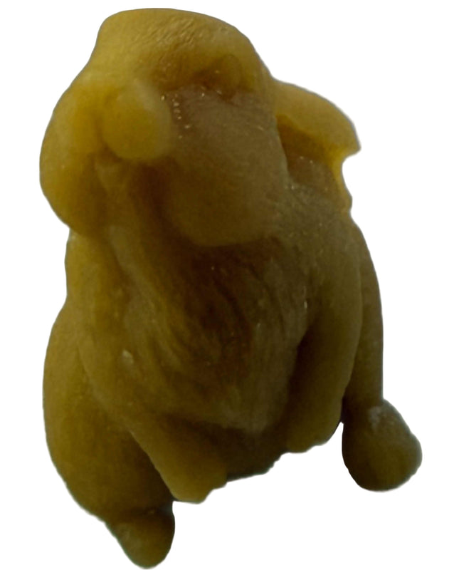 Cute Small Bunny Rabbit - Gold