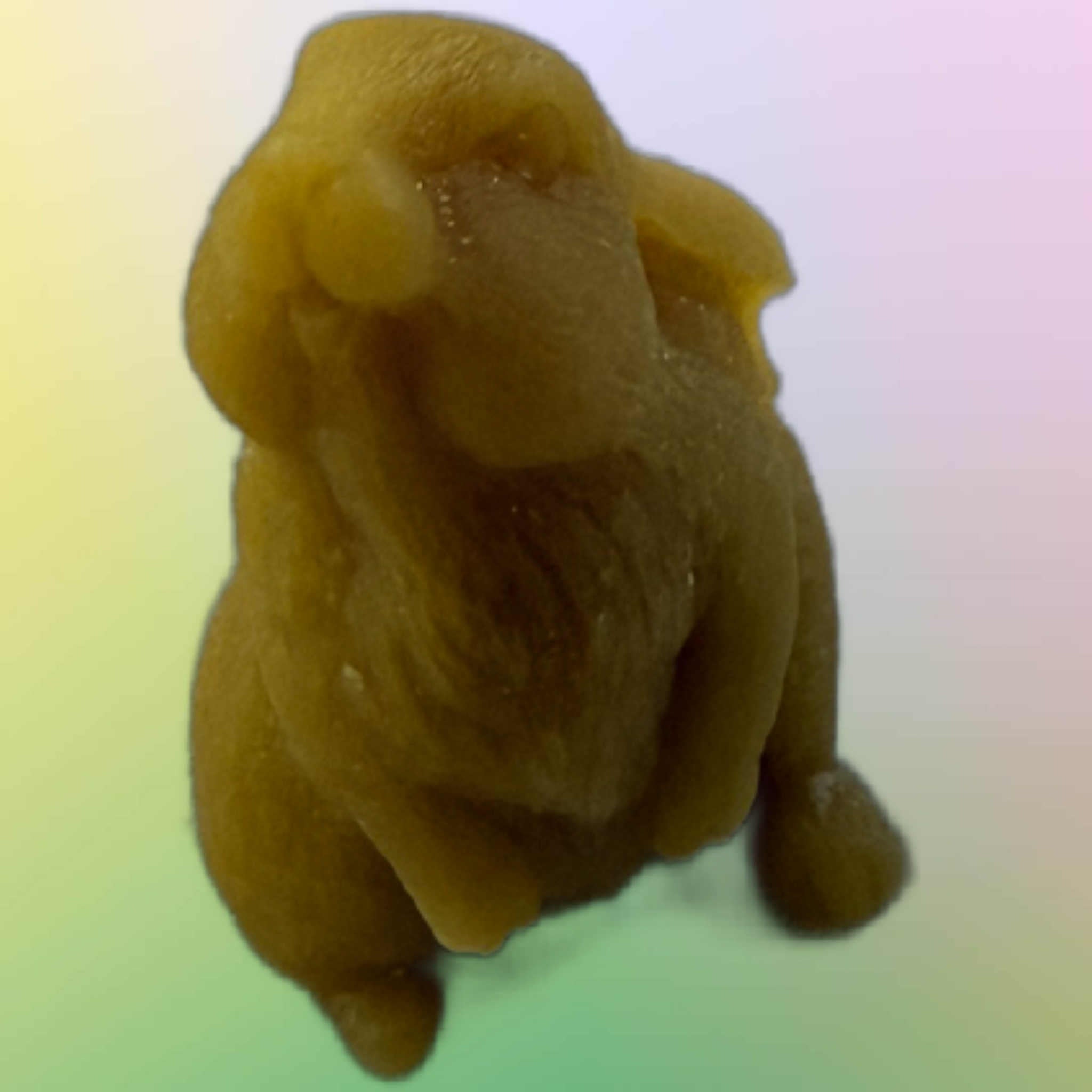 Cute Small Bunny Rabbit - Gold