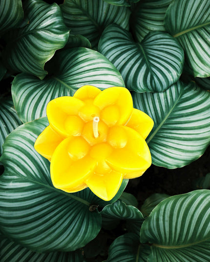 Lotus Flower – Gold