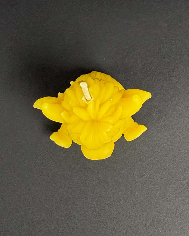 Sitting Highland Cow - Gold