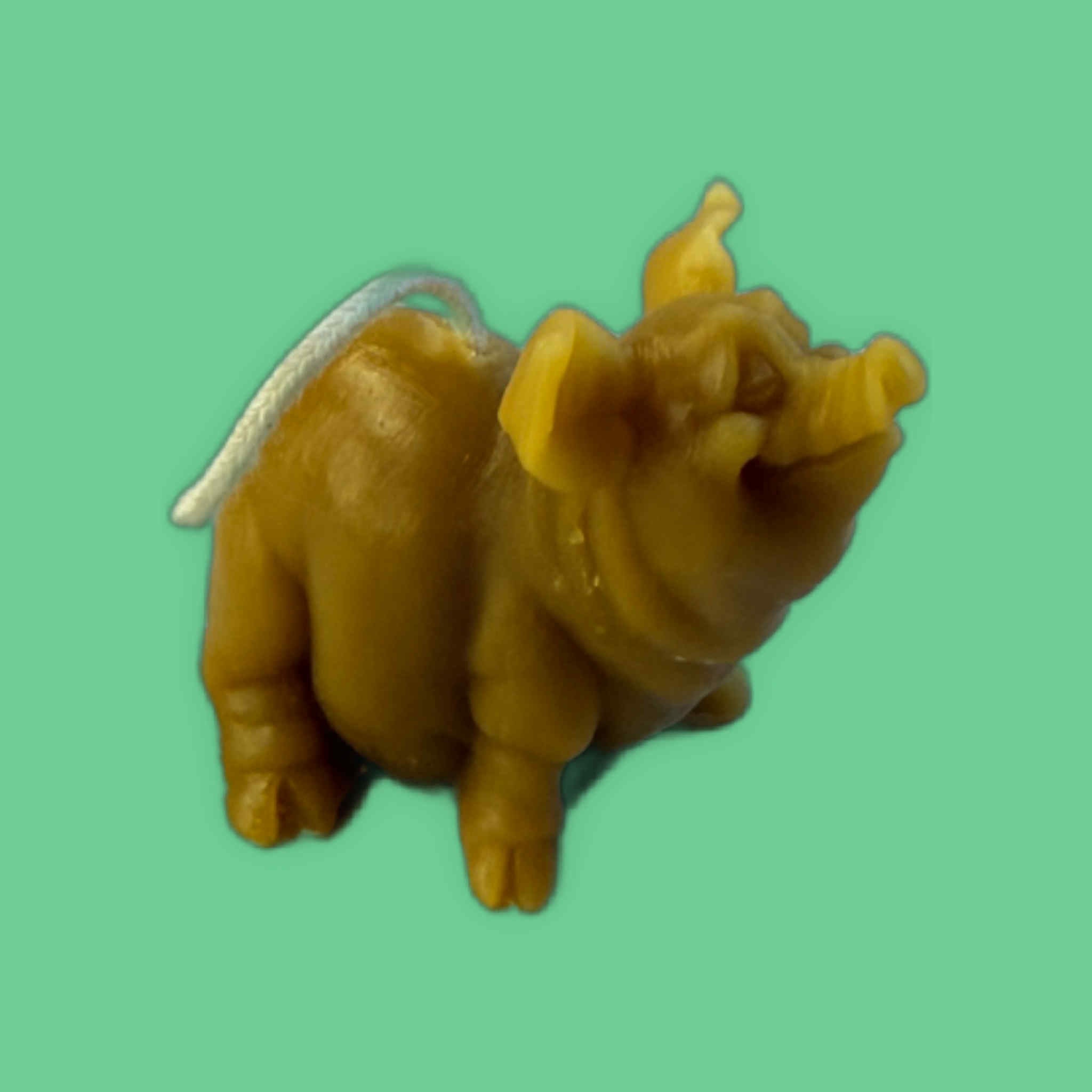 Cute Piggy - Gold