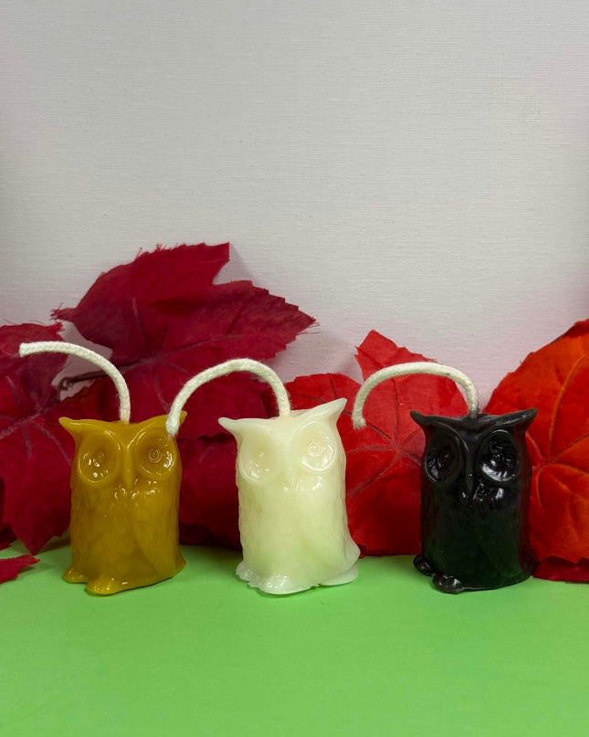 Wise Owl (Black, Gold or White)