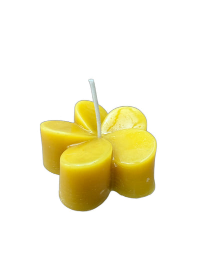 Plumeria Flower - Gold