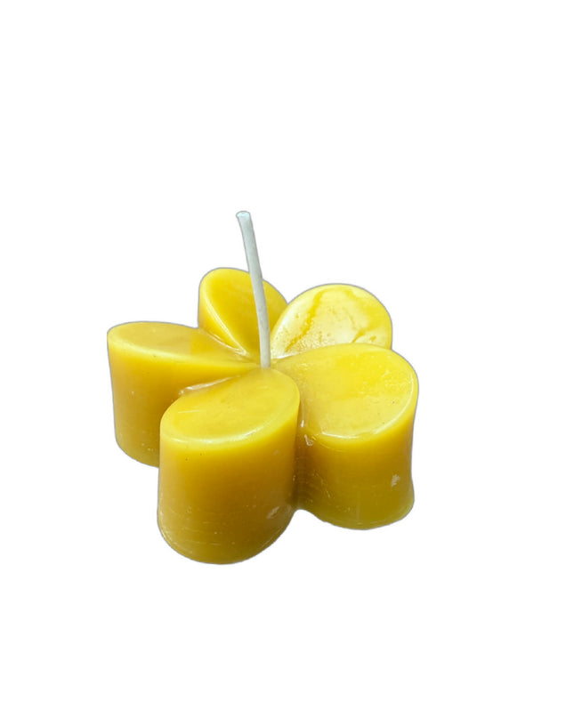 Plumeria Flower - Gold