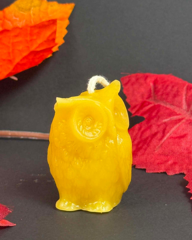 Wise Owl (Gold or White)