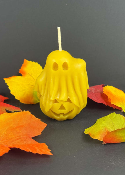 Collection image for: Holiday Novelty