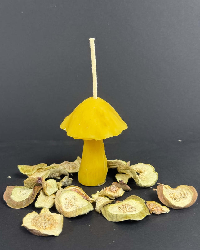 Mushroom Candle