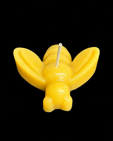 Honey Bee (Gold or White)