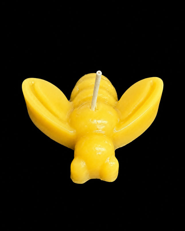 Honey Bee (Gold or White)