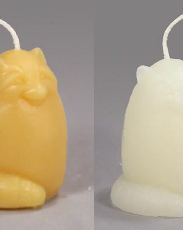 Rascally Racoon (Gold or White)