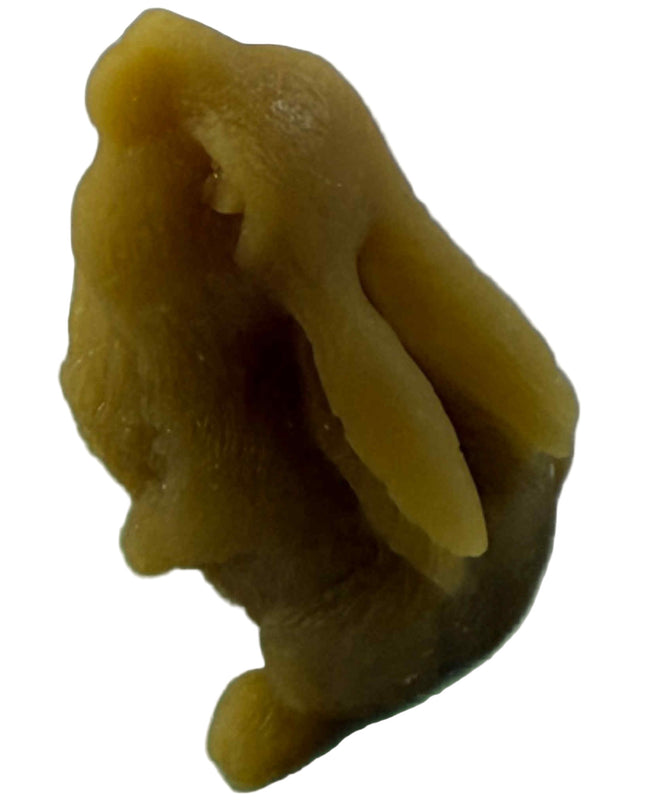 Cute Small Bunny Rabbit - Gold