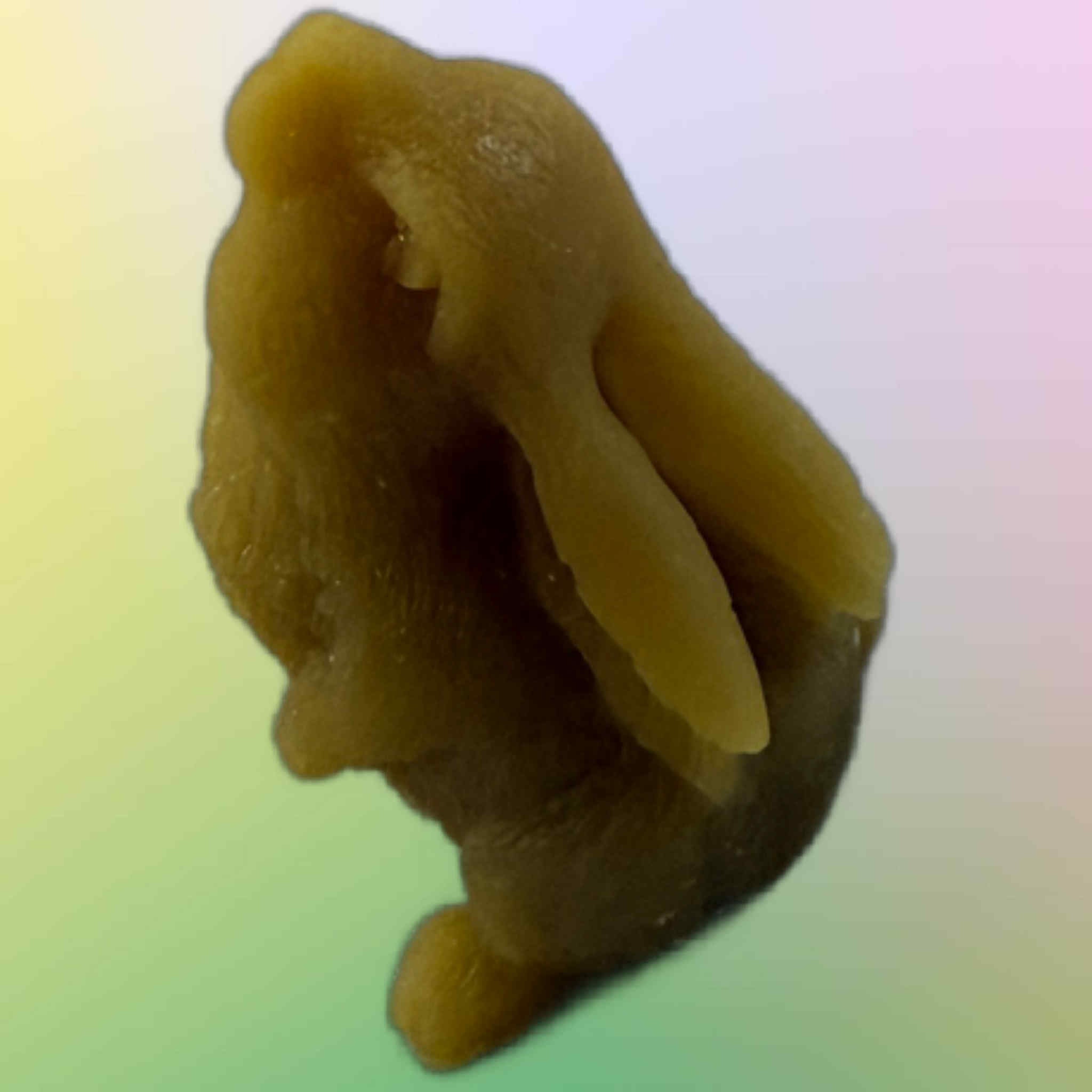 Cute Small Bunny Rabbit - Gold