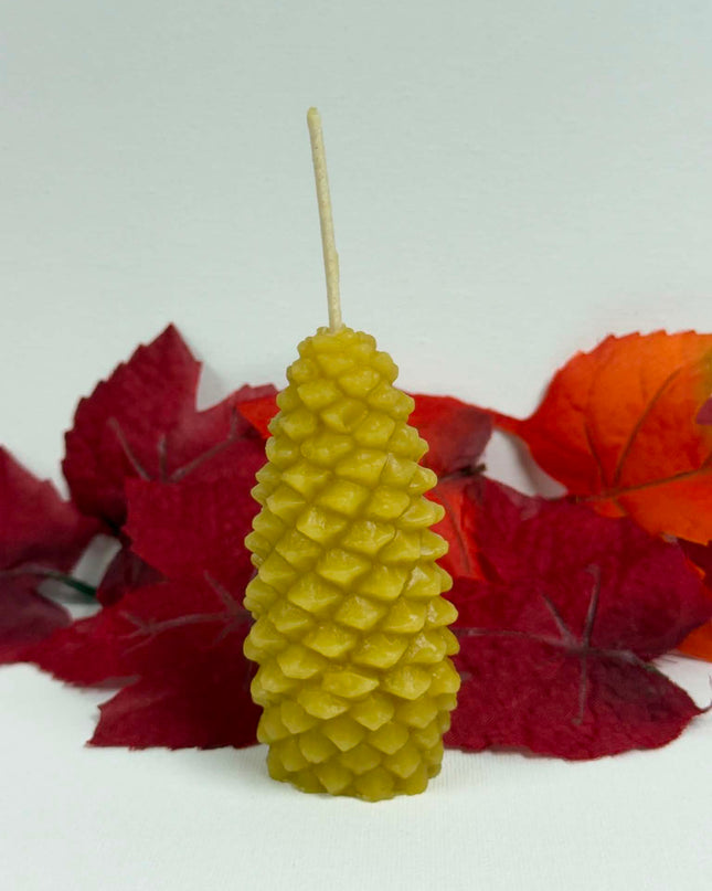 Pine Cone (Gold or White) (Short or Tall)