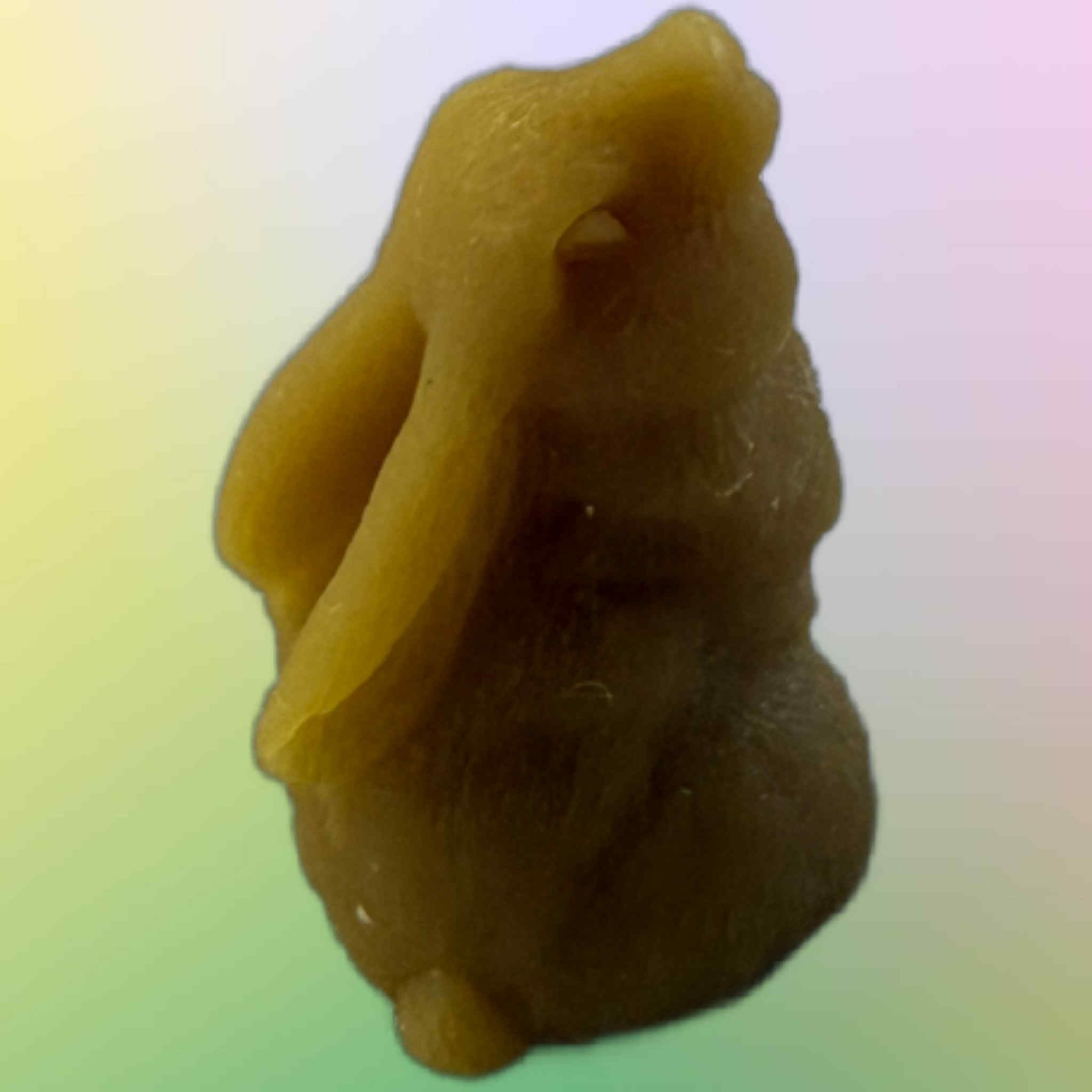 Cute Small Bunny Rabbit - Gold