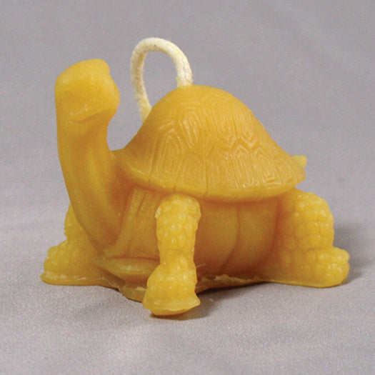 Turtle Gold or White