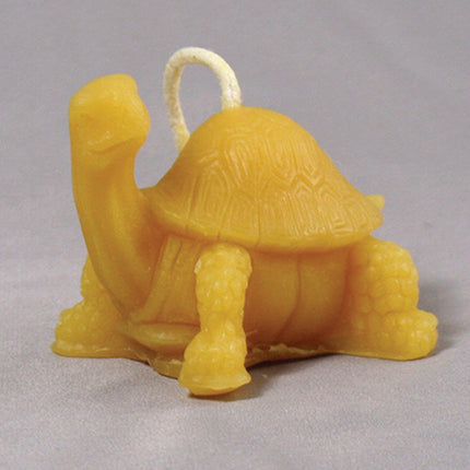 Turtle Gold or White