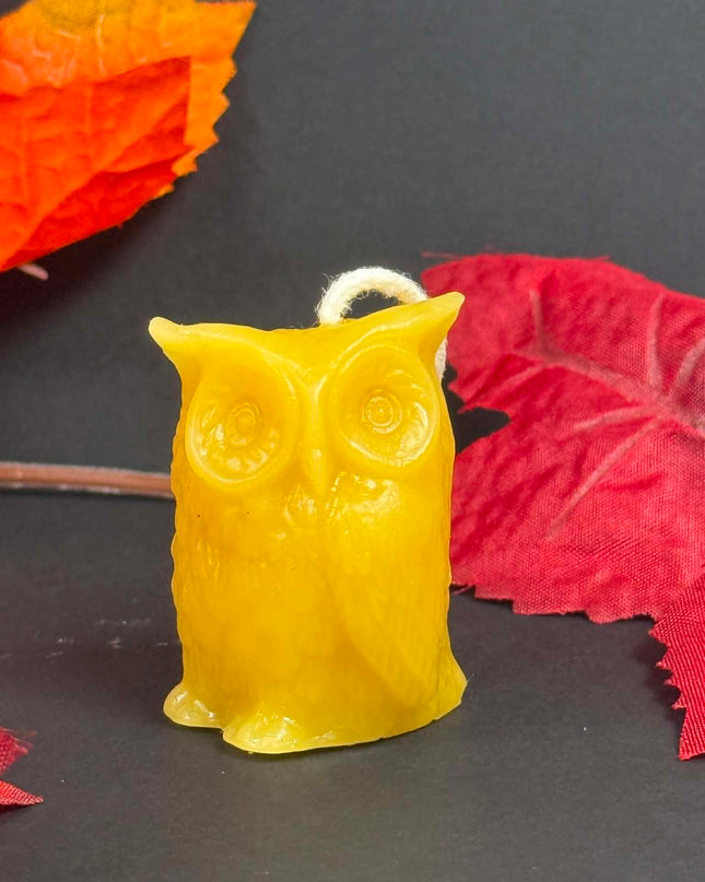 Wise Owl (Gold or White)