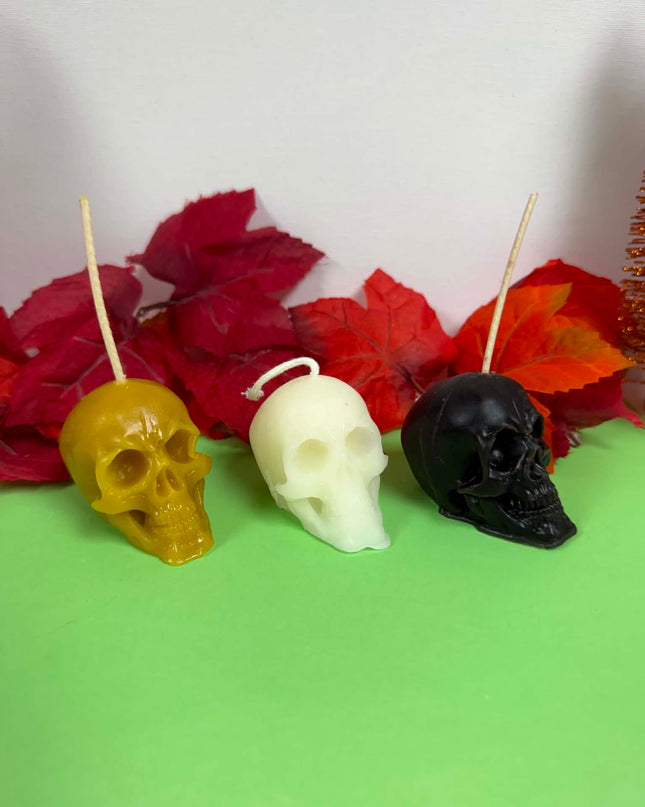 Skull (Black, Gold or White)