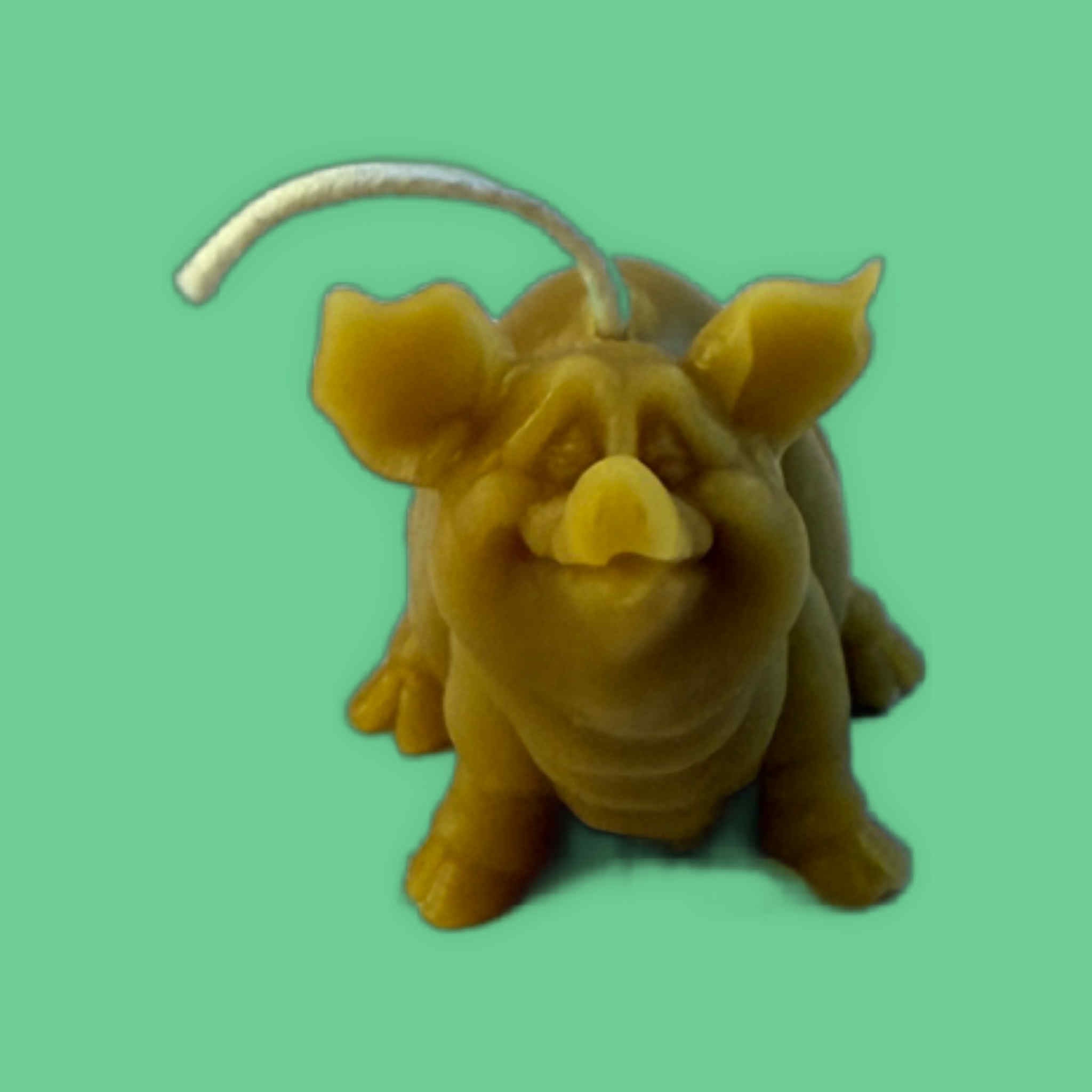 Cute Piggy - Gold