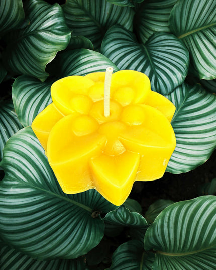 Lotus Flower – Gold