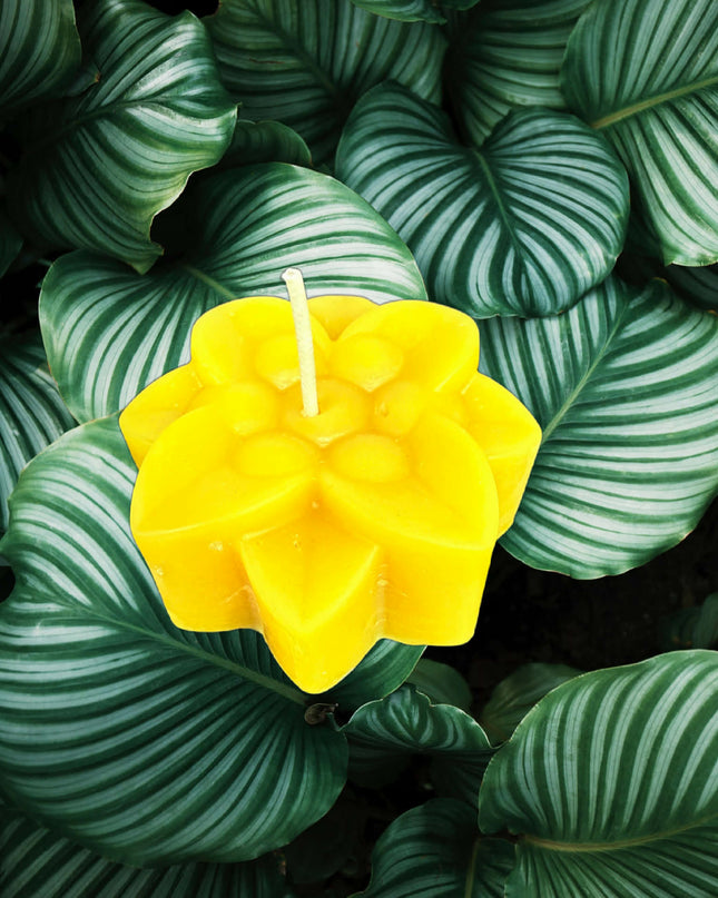 Lotus Flower – Gold